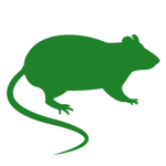 control de ratas equilibrio