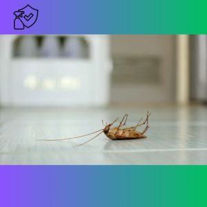 cucaracha muerta en la cocina