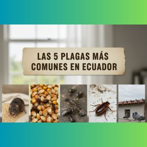 control de plagas en la industria alimentaria